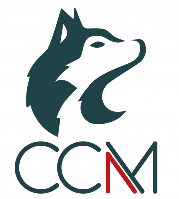 LOGO VERTICAL CCM PNG-02